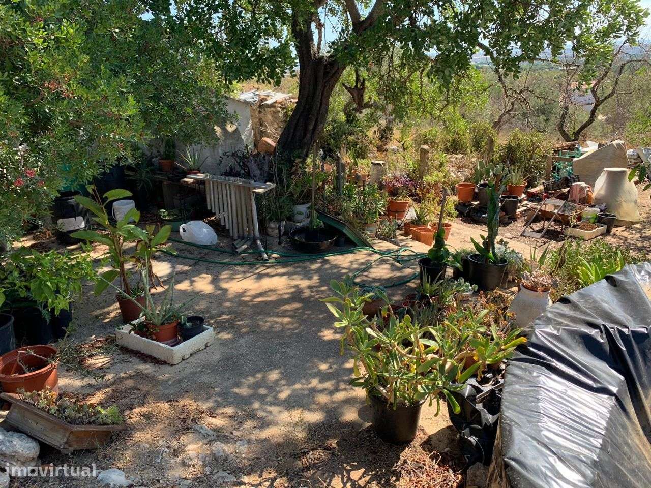 Terreno Urbano, com 3 artigos, Colmeal-48