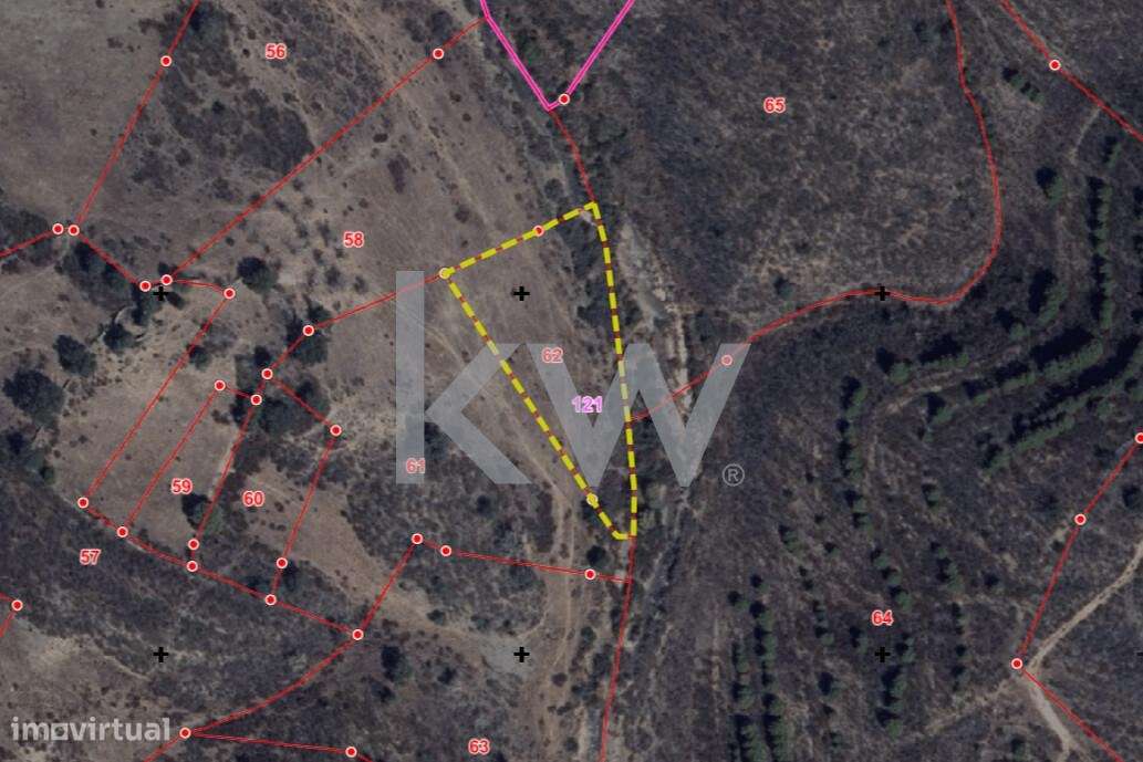 Conjunto de Terrenos Rústicos com 13288m2 em Martim Longo - Grande imagem: 2/4