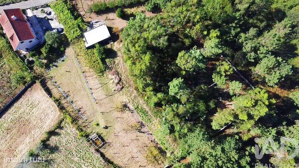 Terreno para construção em Forjães de 2351,00 m2 - Grande imagem: 4/7