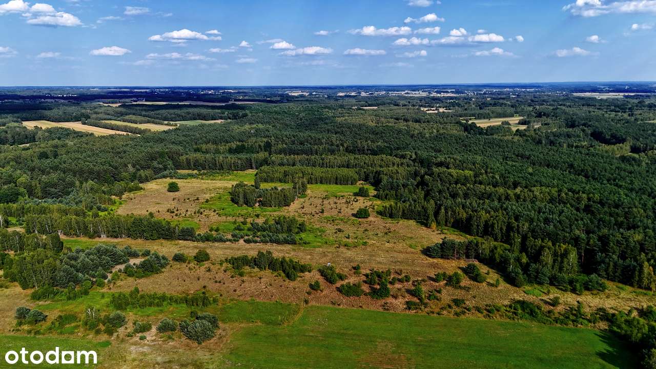 Malownicze działki budowlane w otulinie leśnej-6