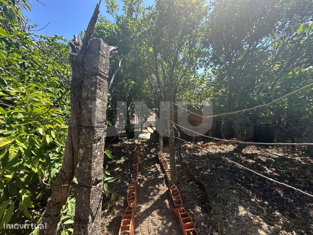 Apartamento T4 com Terraço e Logradouro - Zona Histórica-31