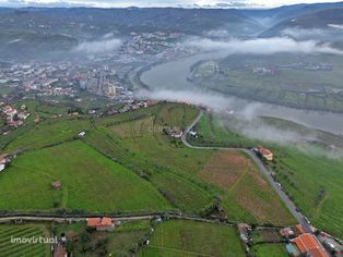 Magnifica quinta no coração do Douro com vista rio e projeto de turism