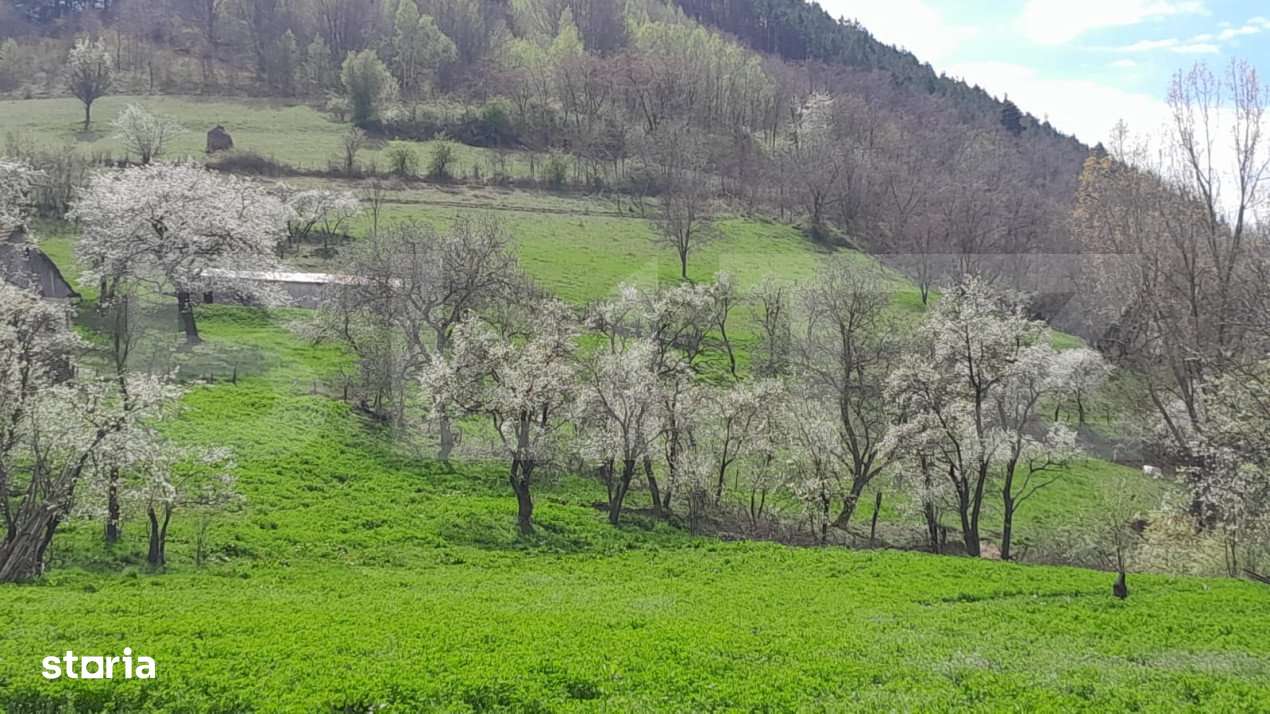 Casa individuala, 5500 mp teren, zona Vintu de Jos, Inuri - Imagine principală: 4/4