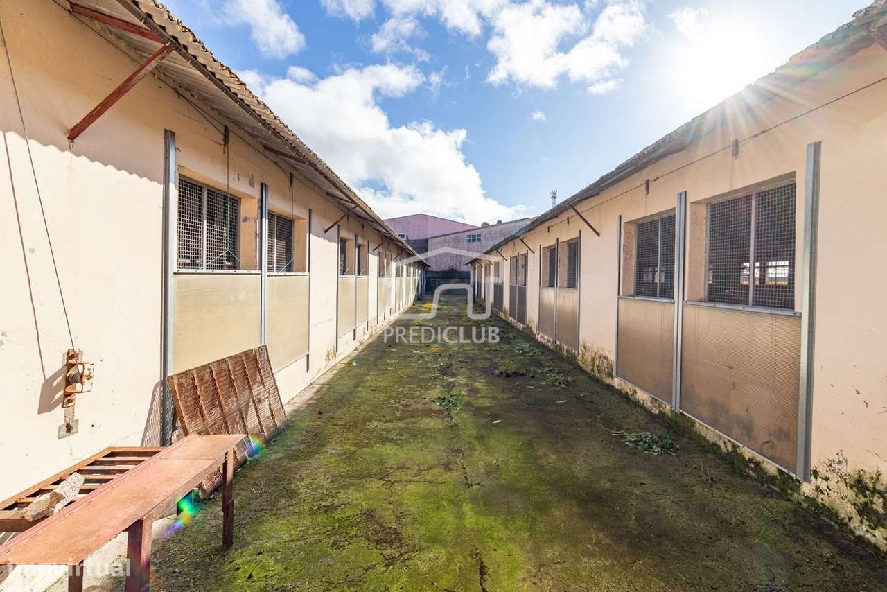 Armazéns - Caniço - Grande imagem: 5/20