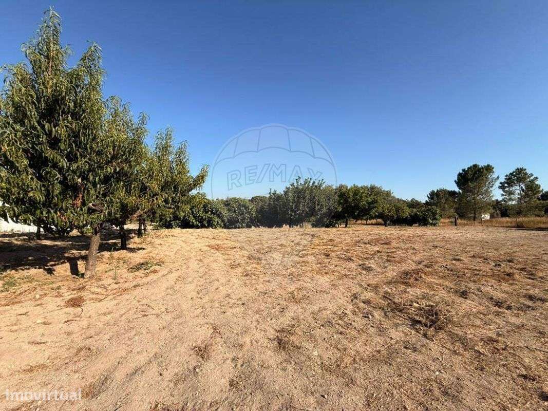 Terreno  para venda - Grande imagem: 5/15