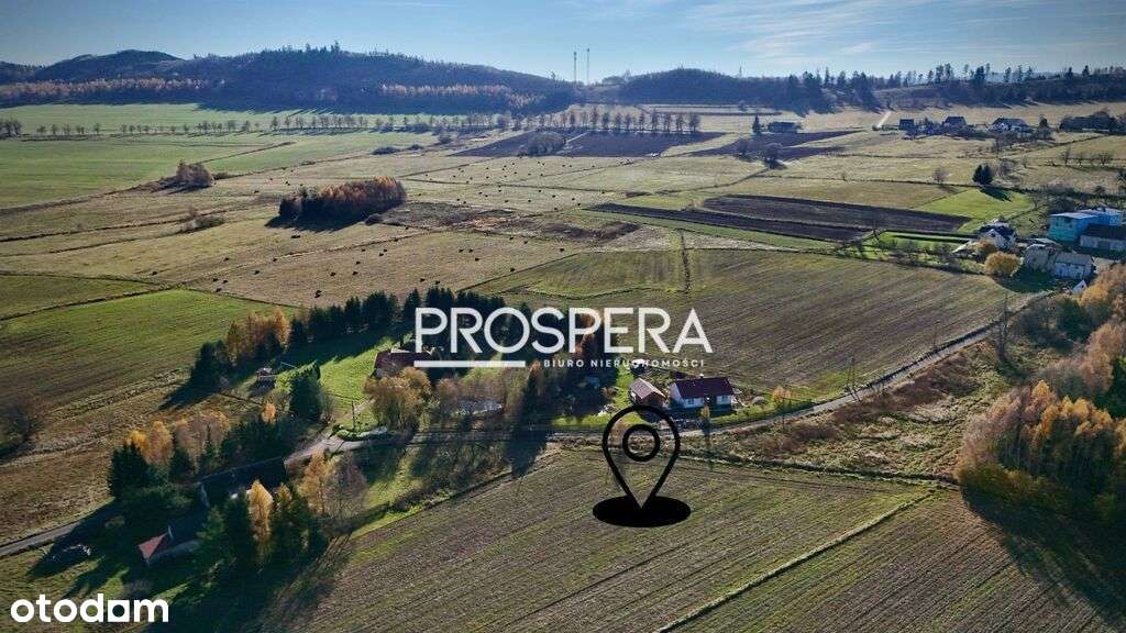 Inwestycyjne 3462m2- opcja 2-3 działek budowlanych! Widok na góry! - Pełny obrazek: 5/6