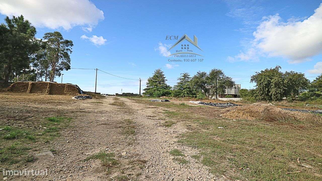 Terreno 20.000m/2 Macieira da Maia-30