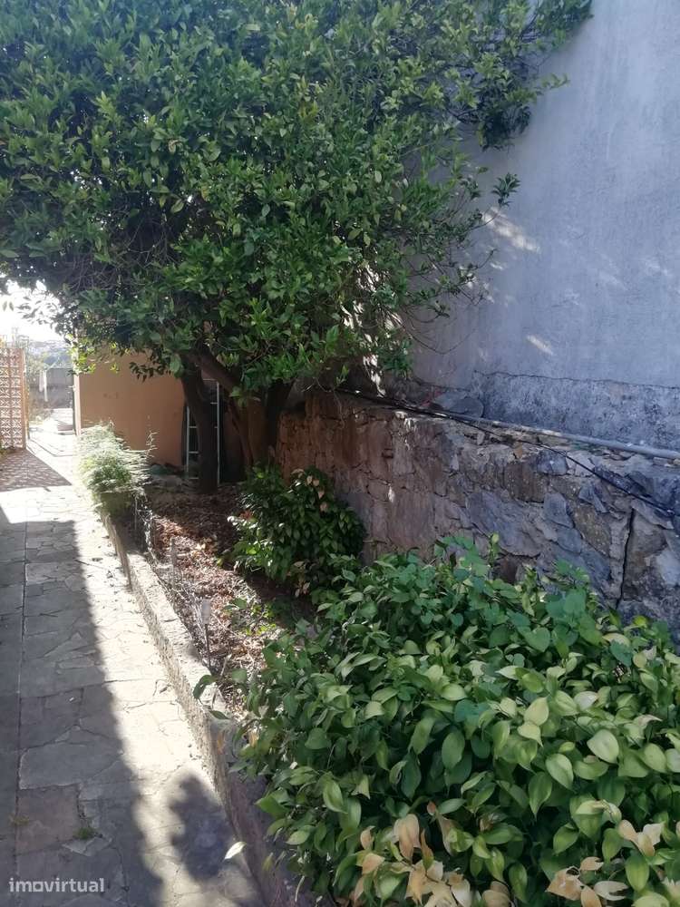 Moradia térrea para venda na Amoreira com muito potencial.-8