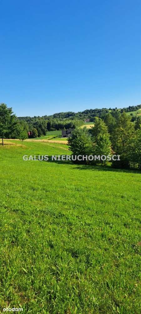 Działka rolna 2,5200 Ha i gospodarstwo-19