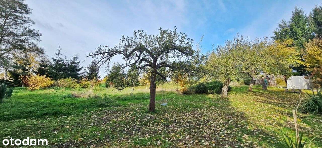 Poniemiecki dom z dochodowym biznesem! - Pełny obrazek: 5/20