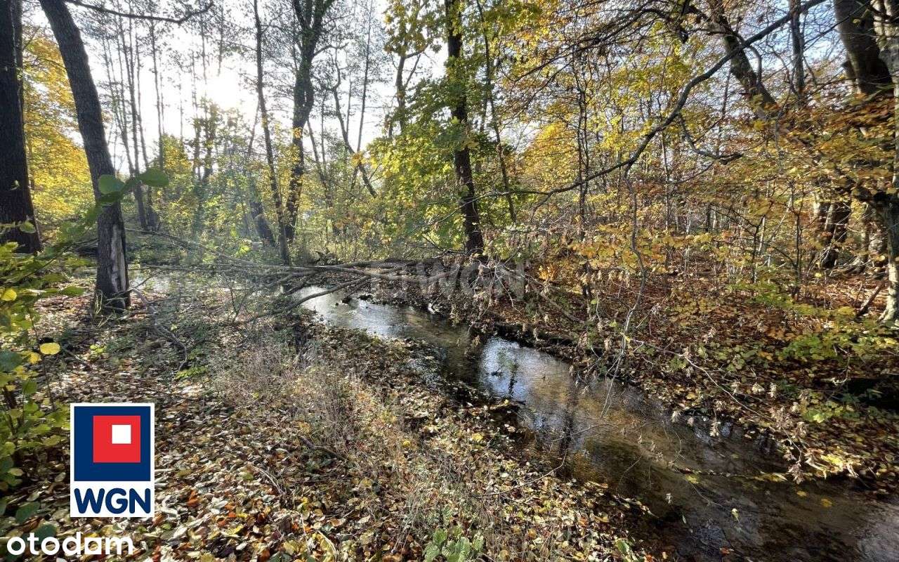 Dom, warsztat, hala mag., Barcino, działka 5000m2-16