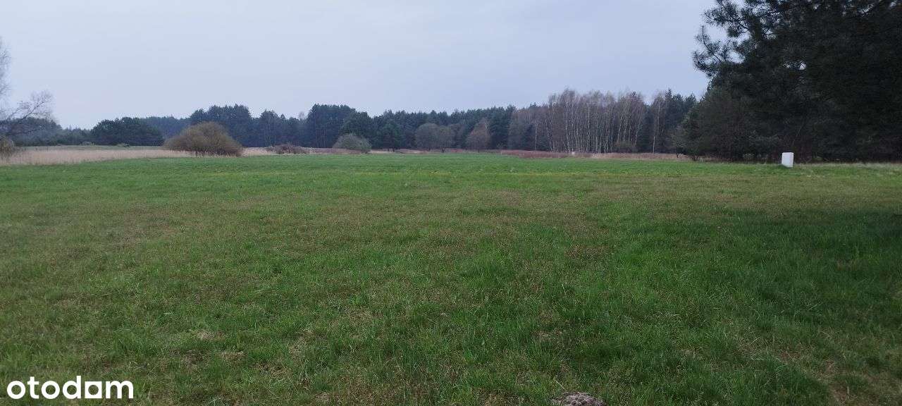 Działki budowlane w Malerzowie - woda, prąd - Pełny obrazek: 5/20