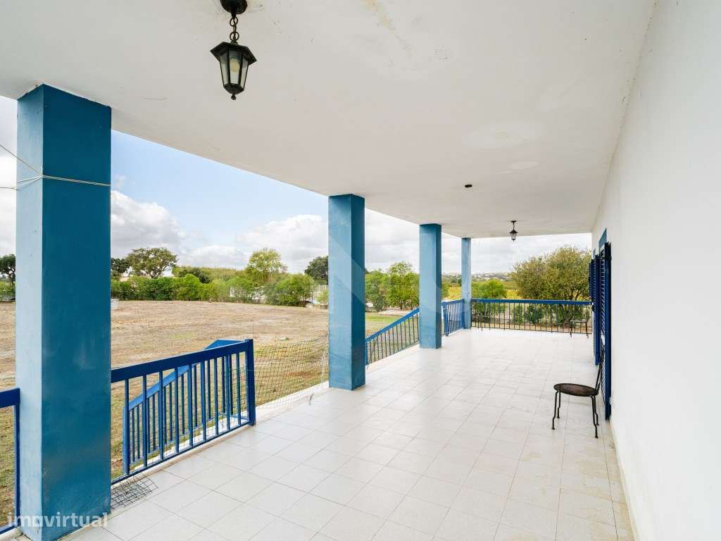 Quinta com 4,8 hectares e casa T9 em Vila Nova da Baronia-19
