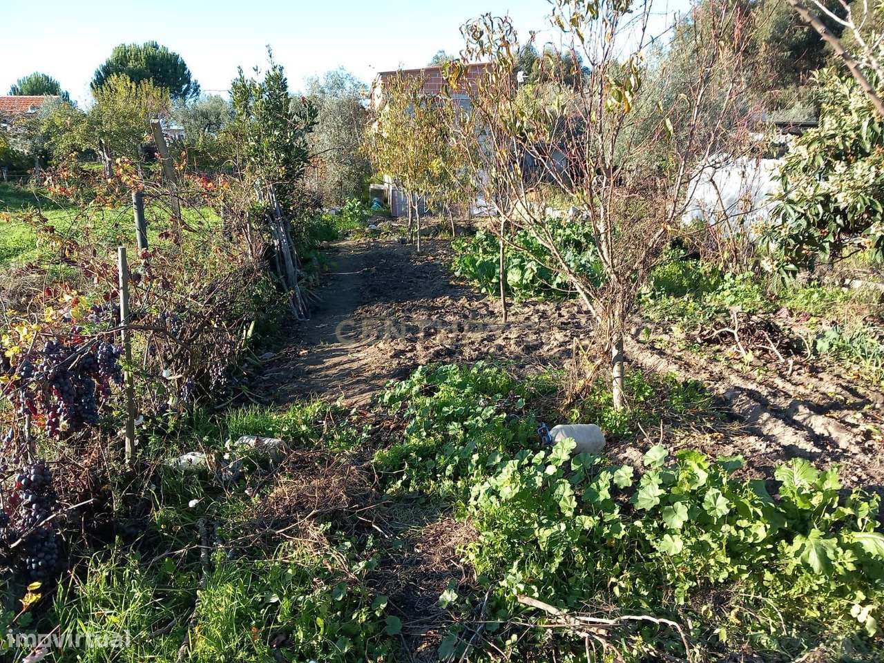 Quintinha Póvoa Rio de Moinhos- Castelo Branco - Grande imagem: 5/17