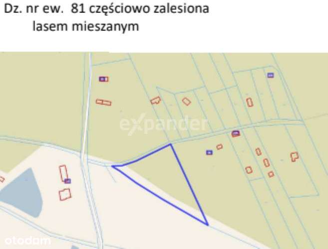 Spokojne działki w Lesie - Siedlisko - Pełny obrazek: 4/6