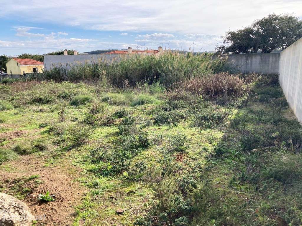 Terreno Rústico com 3 800m2 na Lourinhã - Grande imagem: 2/13