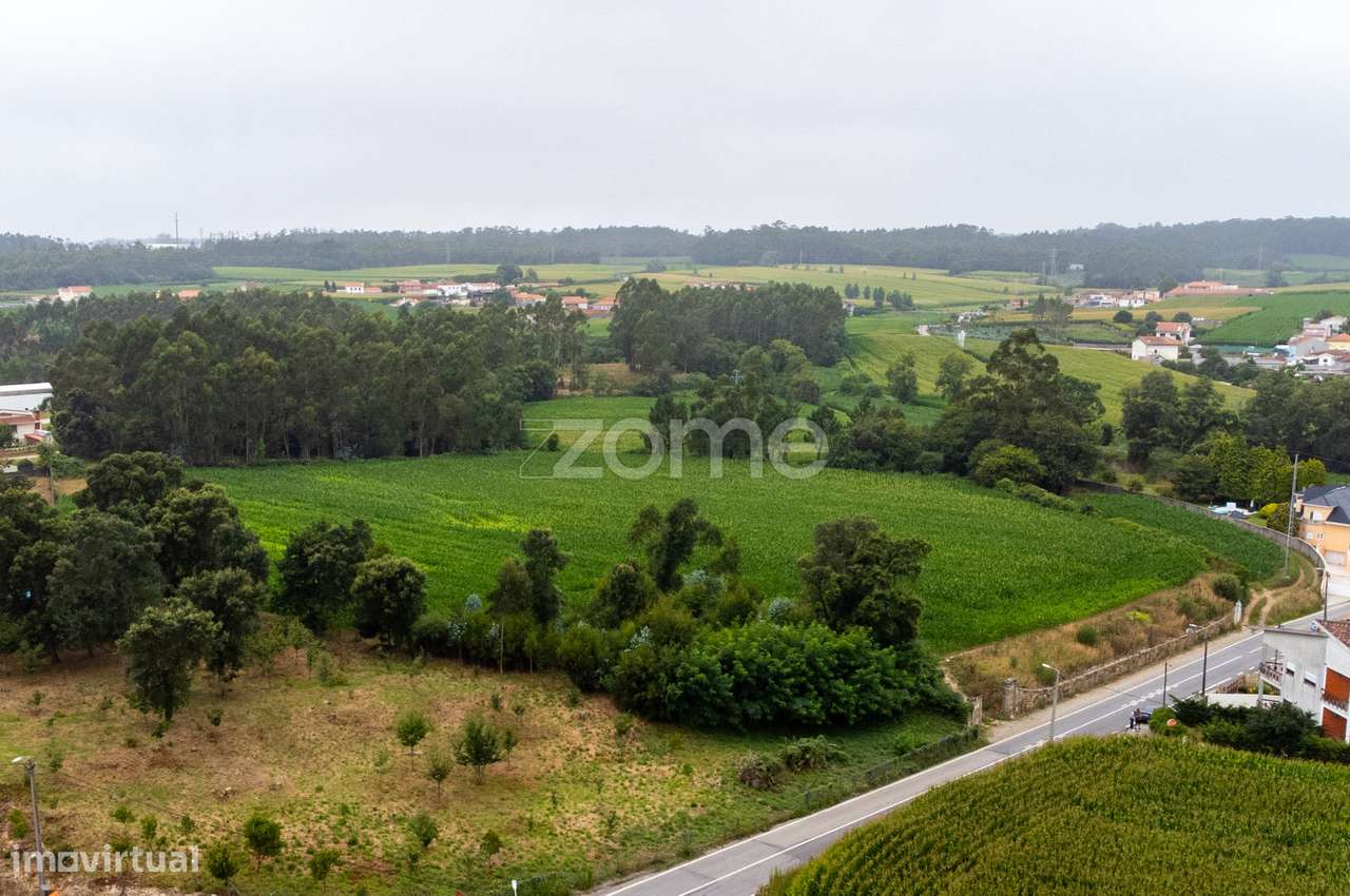 Terreno p/ construção de moradias c/18.000m2 - Modivas - Vila do Co... - Grande imagem: 5/21