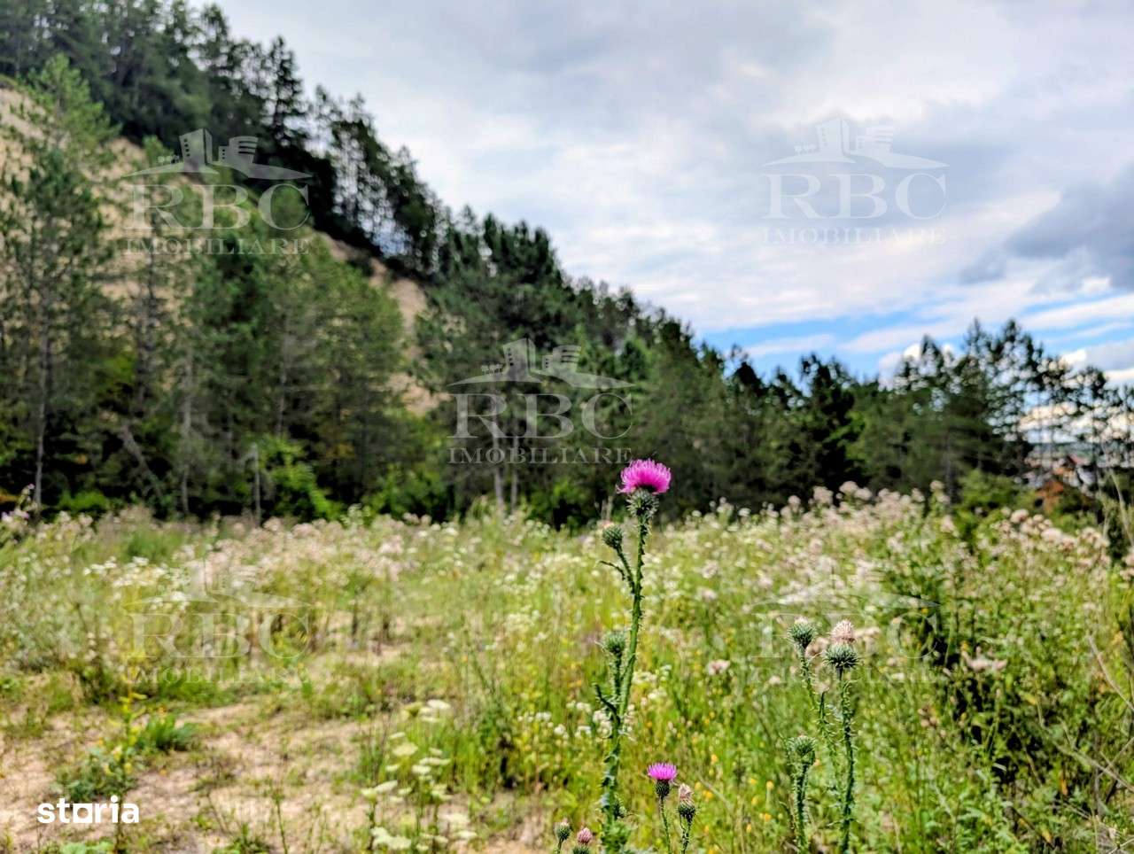 Teren intravilan pentru constructie casa in Cheile Baciului - Imagine principală: 3/8