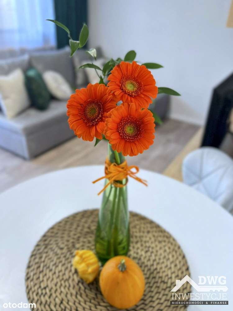 Kawalerka gotowa do zamieszkania +parking-5