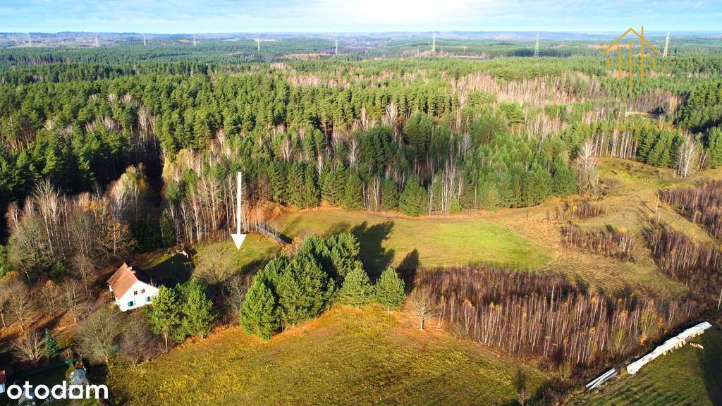 Działka 1780 m² w Gutkowie z warunkami zabudowy - Pełny obrazek: 4/9