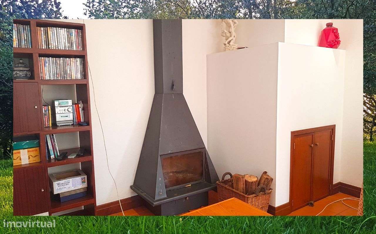 Quintinha com Mata secular-15