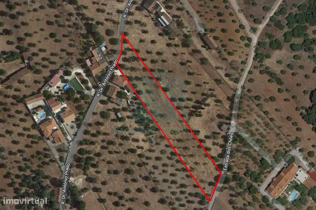 Terreno Rústico Urbanizável em Zibreira, Torres Novas - Grande imagem: 3/7