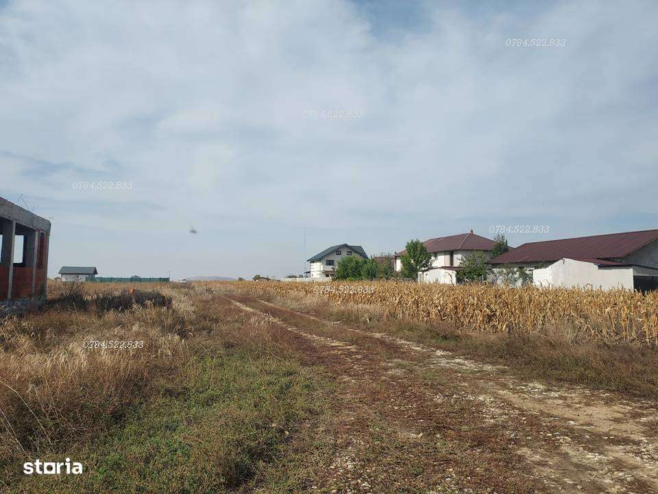 Terenuri 382 m² – Rate fără dobândă, aproape de București, Berceni IF - Imagine principală: 3/8