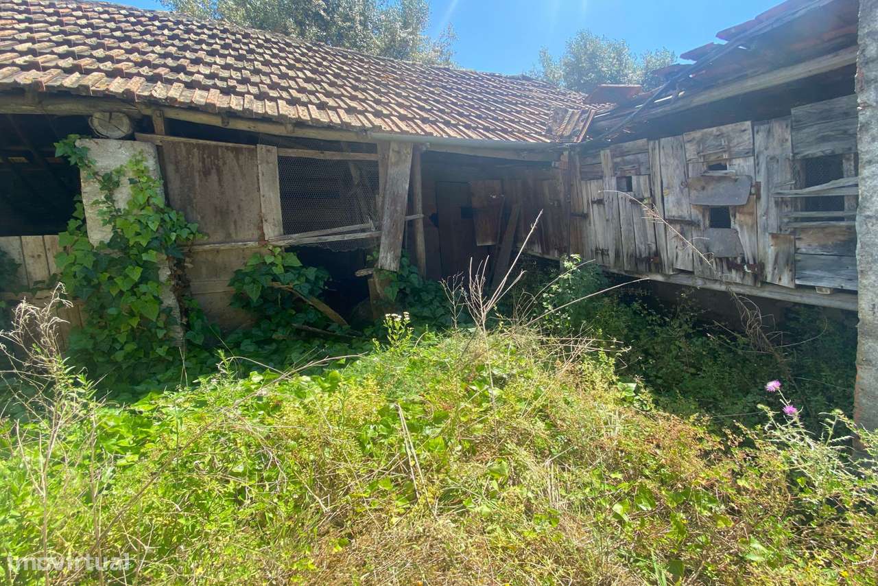 Oportunidade Única na Sabacheira, perto de Fátima-16