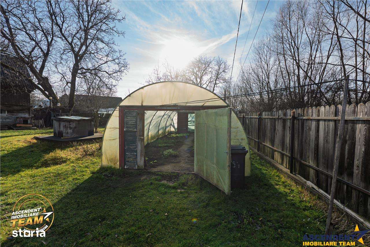 FILM! Casa cu sura, pivnita, balta cu pesti, 2.280 mp teren roditor, L - Imagine principală: 5/20