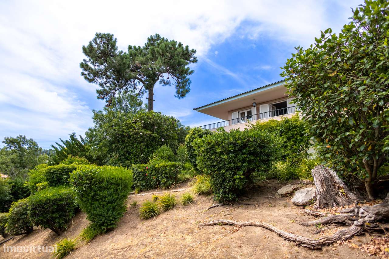 Obra-prima dos anos 70 com potencial ilimitado-21