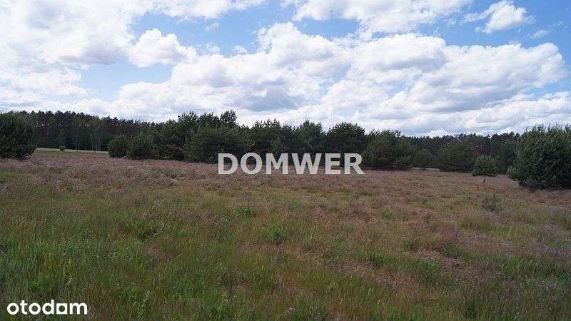 Działka, 3 000 m², Górki Noteckie - Pełny obrazek: 5/5