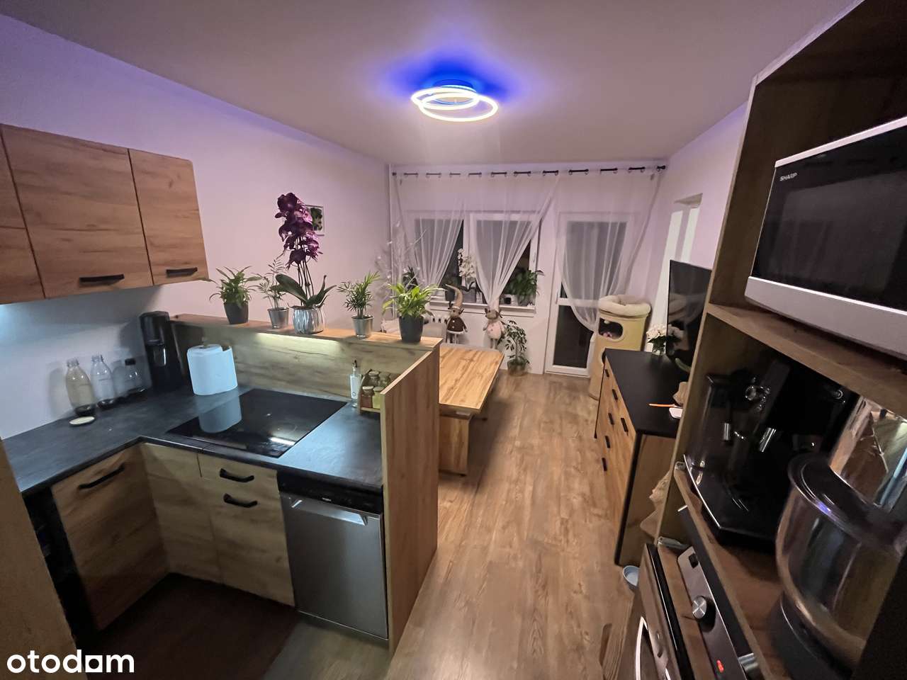 3 pok z balkonem po kapitalnym remoncie na I piętrze z wyposażeniem!-3