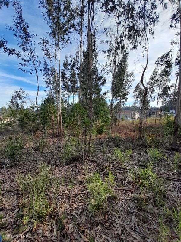 Terreno  para venda - Grande imagem: 5/6