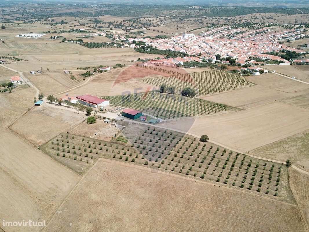 Armazém  para venda