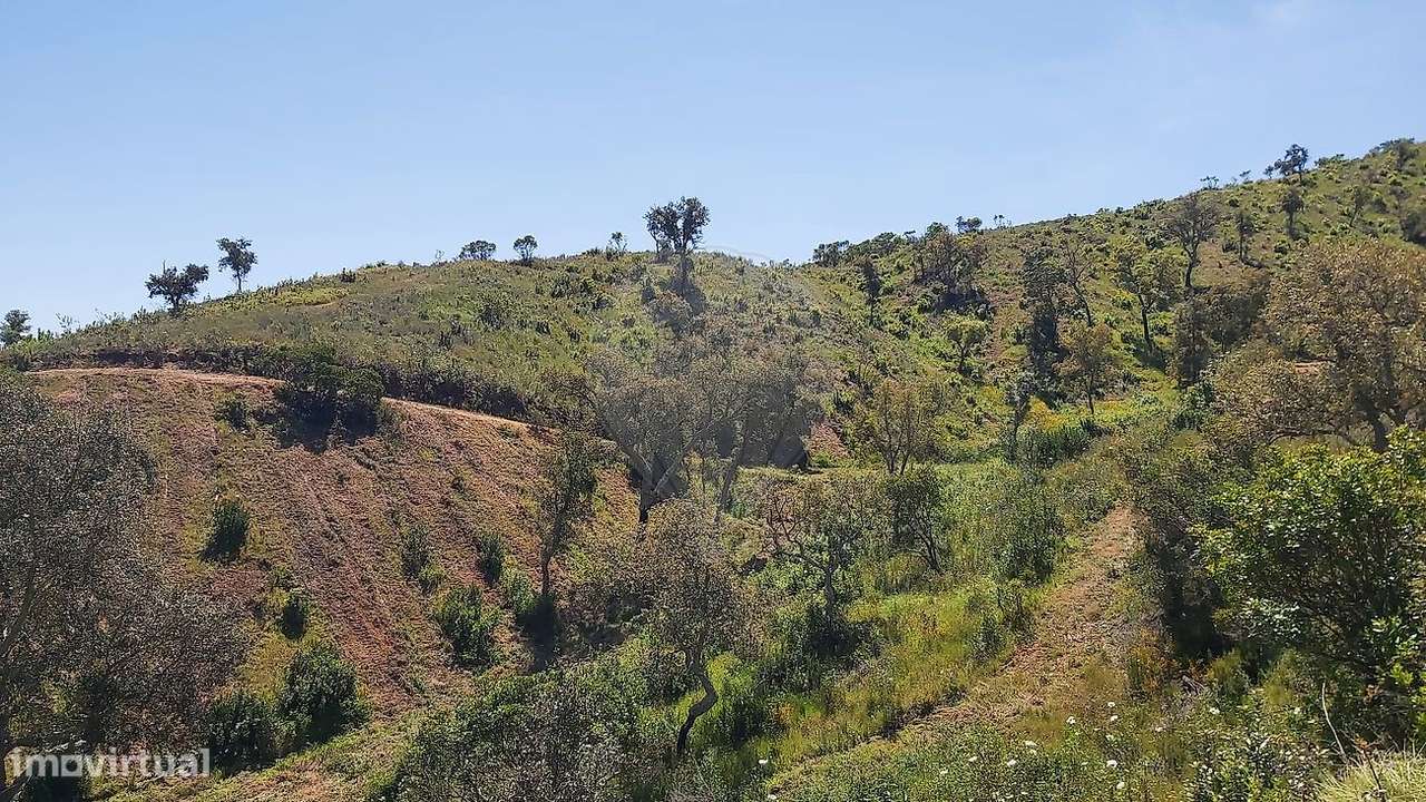 Terreno  para venda - Grande imagem: 2/7