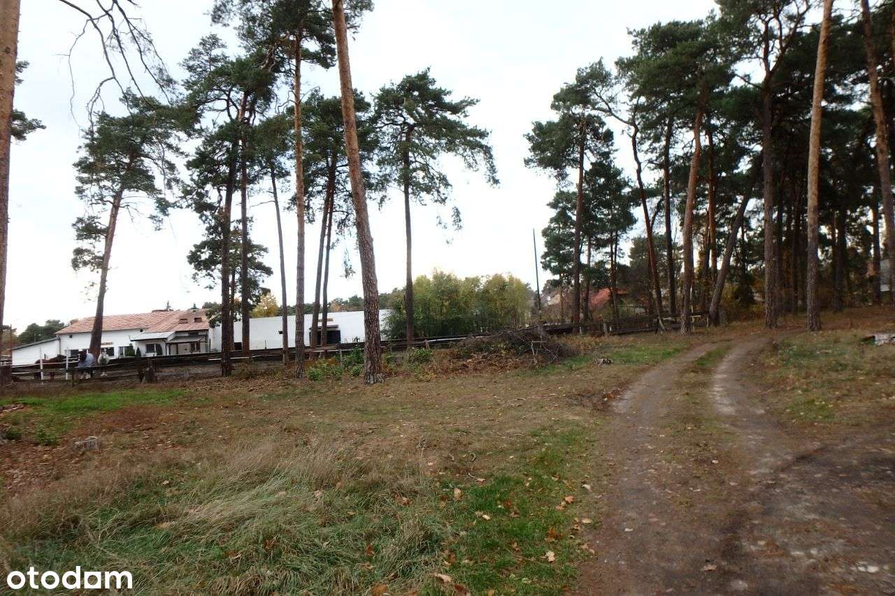 Działka w Józefowie - Pełny obrazek: 5/5