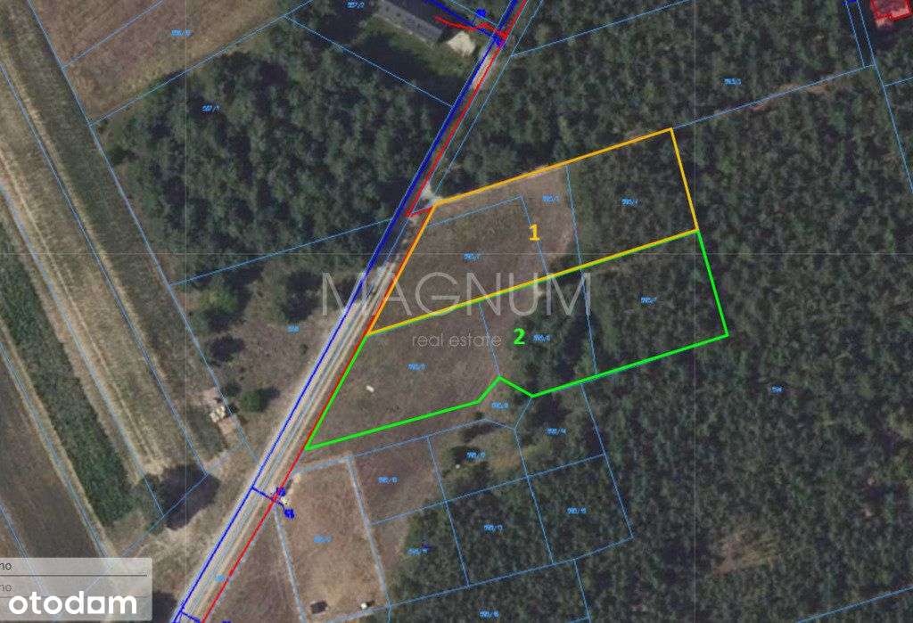 Piękna działka z lasem pod zabudowę jednorodzinną - Pełny obrazek: 4/9