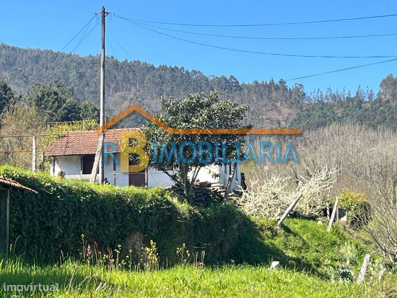 Quinta em Moldes - Arouca-20