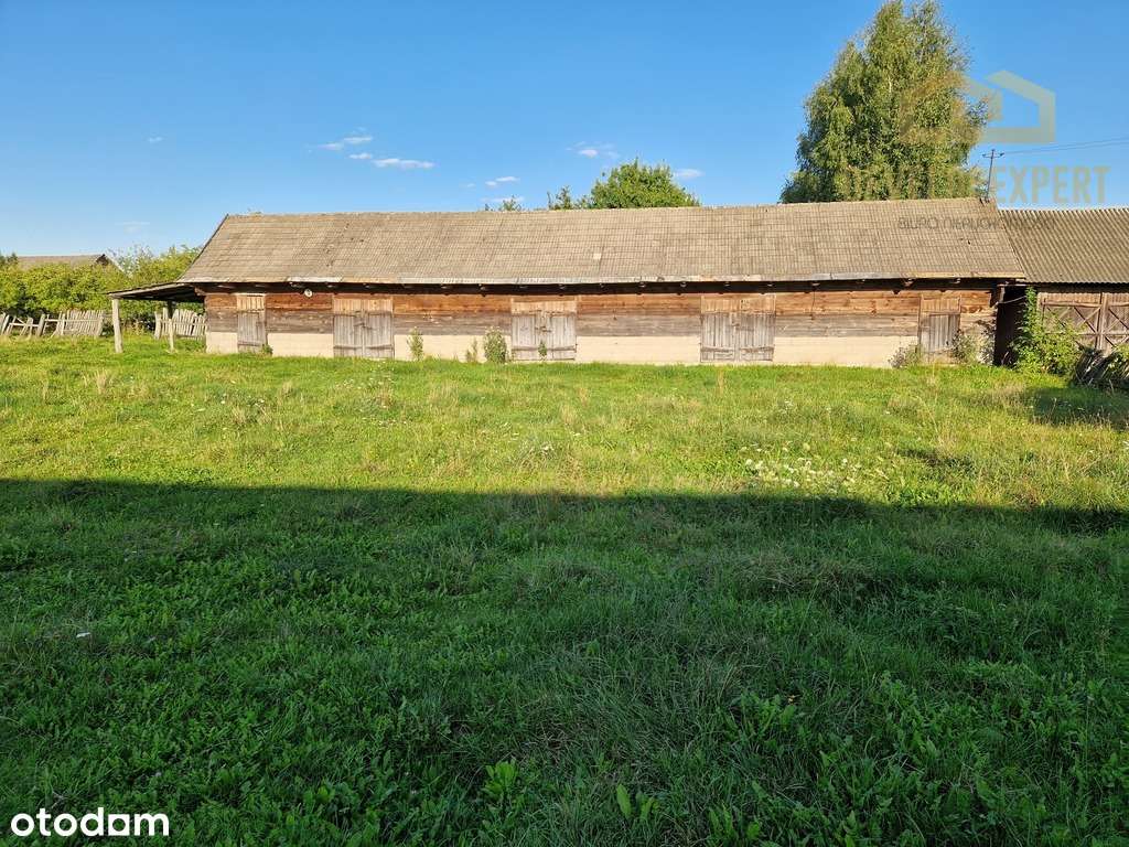 Siedlisko na Podlasiu 30km od Białowieży, 2rodziny-9