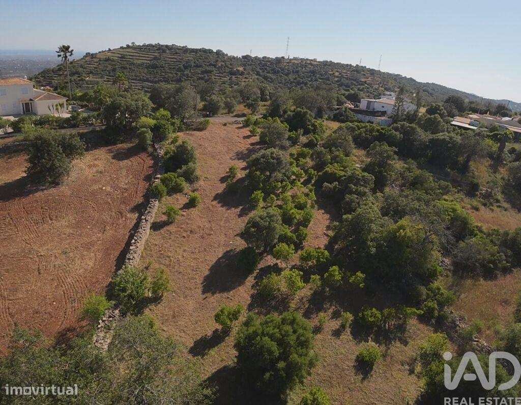 Terreno em Conceição e Estoi de 1840,00 m2 - Grande imagem: 4/6