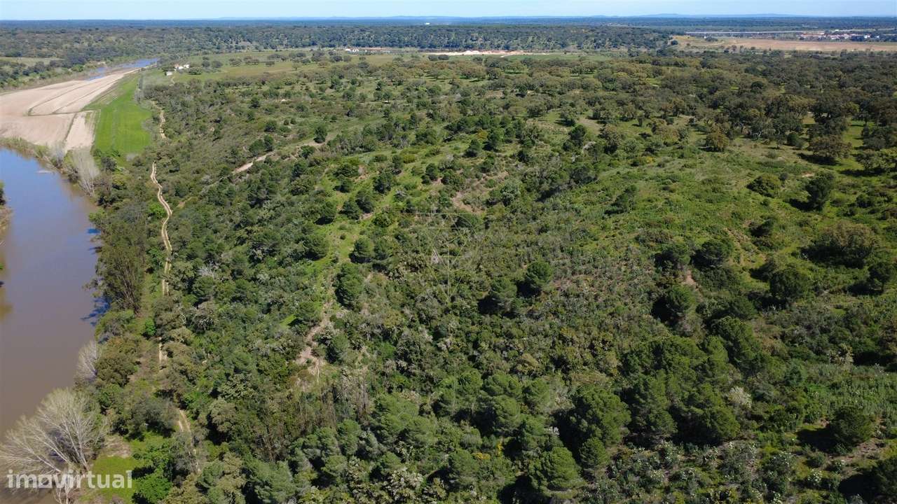 Herdade  Venda em Figueira dos Cavaleiros,Ferreira do Alentejo-16