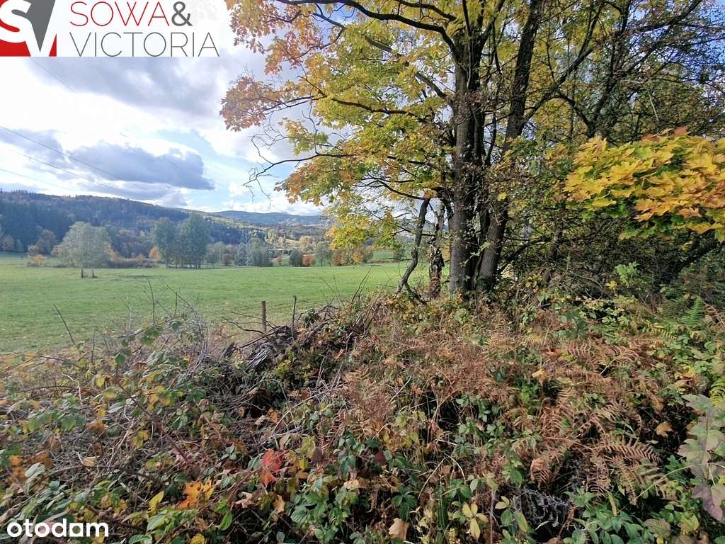 Z widokiem na góry, z możliwością WZ - Pełny obrazek: 1/12