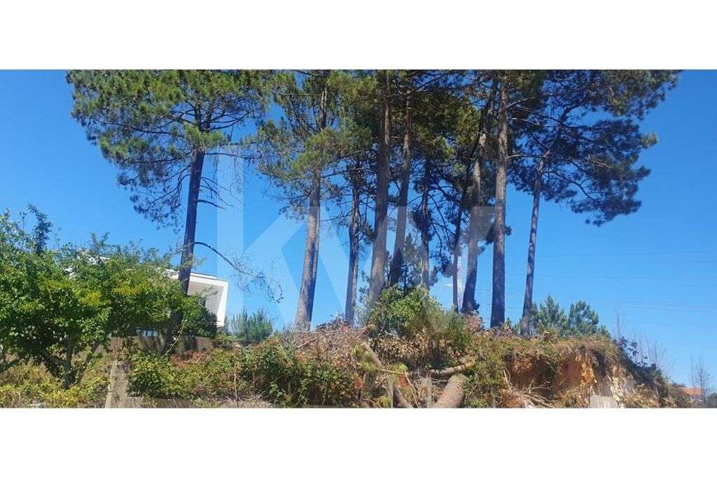 Lote para construção de moradia - Grande imagem: 5/18