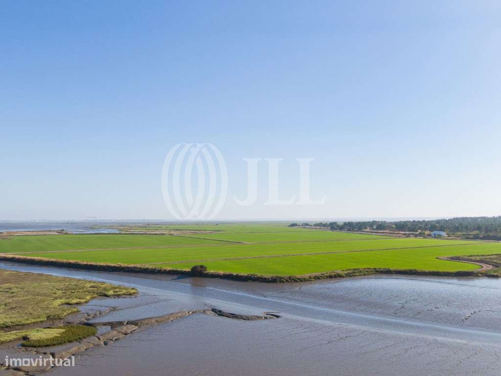 Terreno, com projeto aprovado para de moradia, Comporta - Grande imagem: 5/11