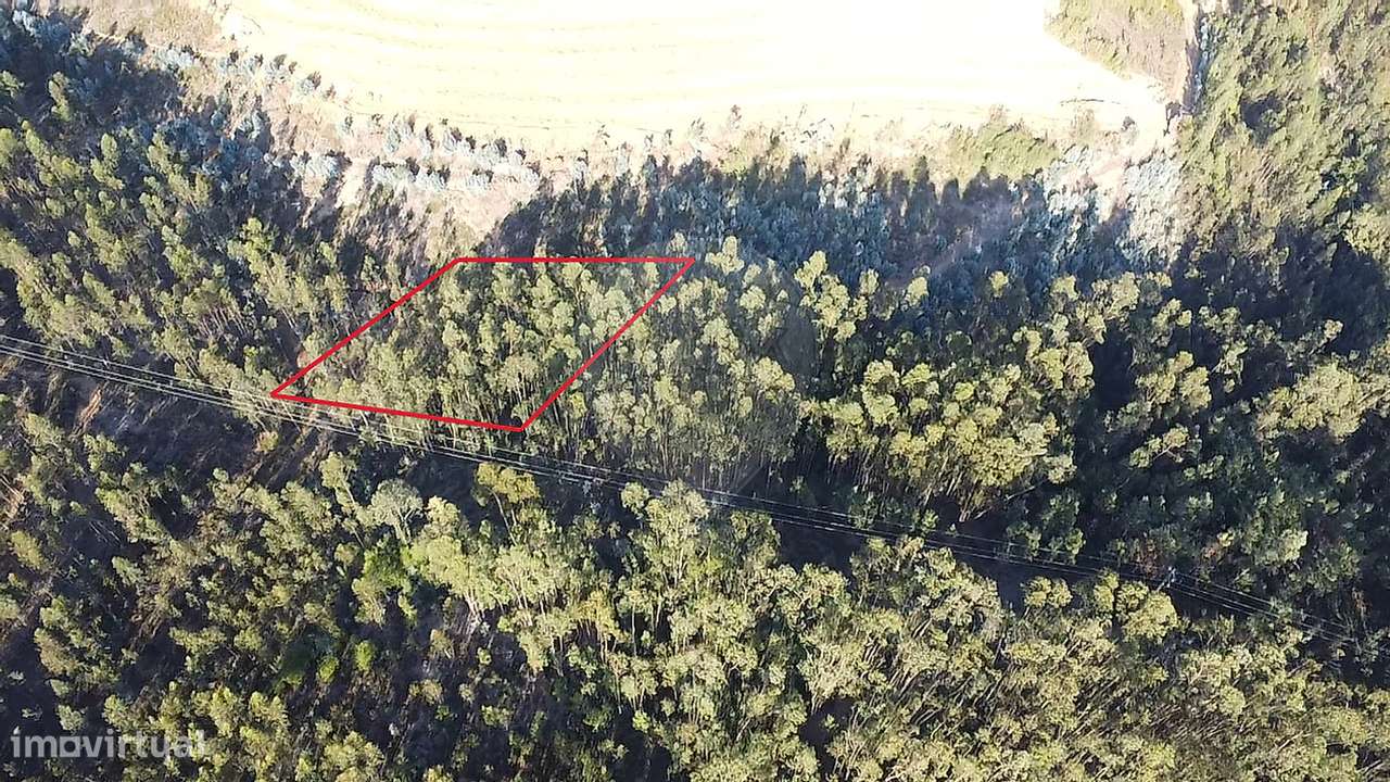 Terreno  para venda - Grande imagem: 5/6