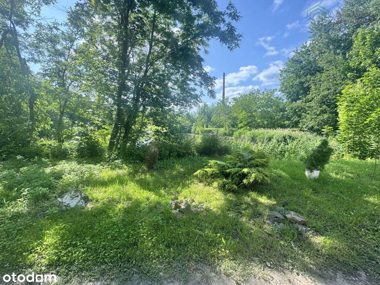 Działka budowlana blisko lasu w Opolu