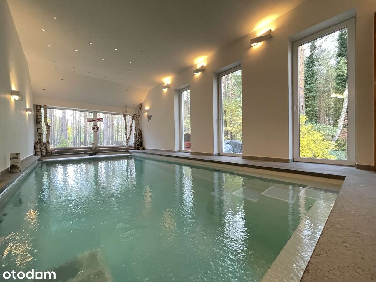 Posiadłość pod Warszawą z Basenem, własnym lasem i jeziorem.-6