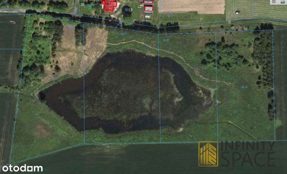 Działka 3,5 ha ze stawem na Warmii | WZ na 4 domy - Pełny obrazek: 5/5