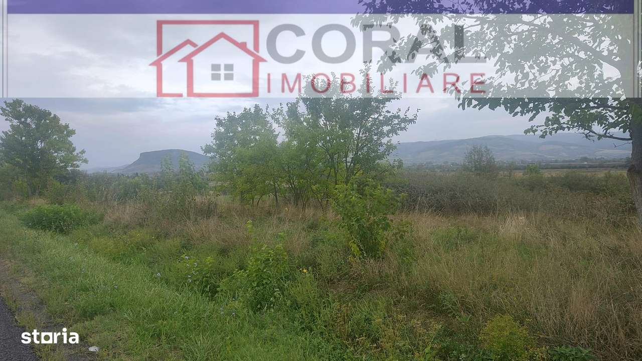 De vanzare teren extravilan, zona Spini - Imagine principală: 4/5