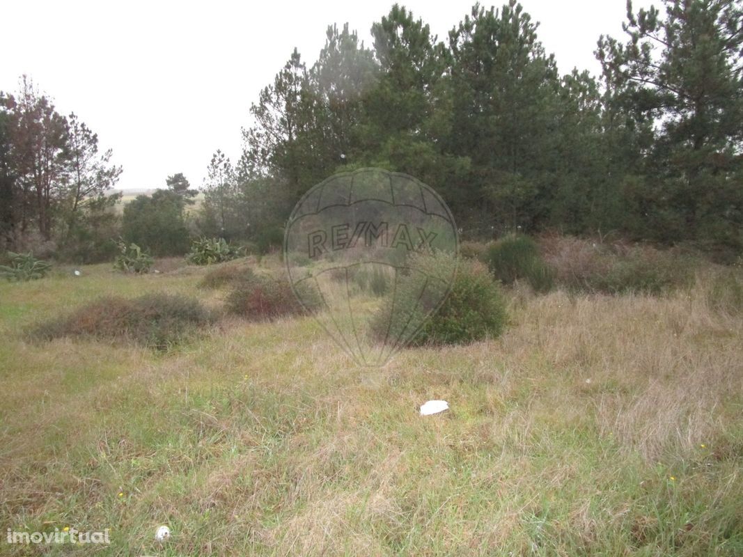 Terreno para Venda